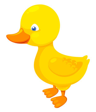 Cute duck vector