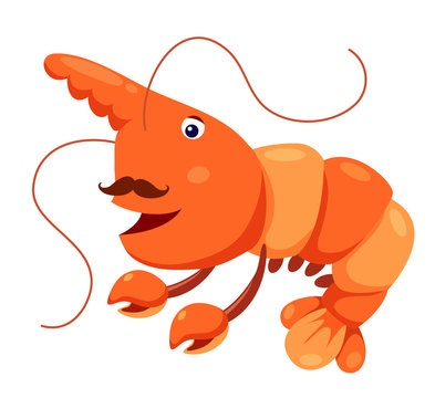 Cute shrimp vector