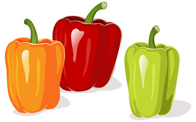 Colored pepper vector