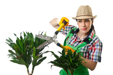 Woman gardener trimming plans on white