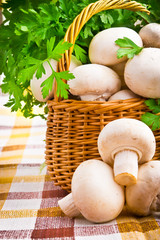Wicker basket full of fresh champignon mushrooms