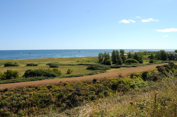 Fototapeta premium hoedic