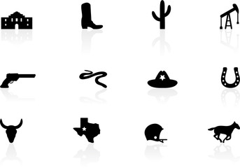 Texas icons