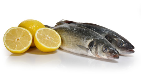 Lubinas.