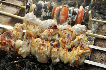 Tasty Shashlik