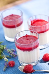 Himbeer-Sahne Dessert