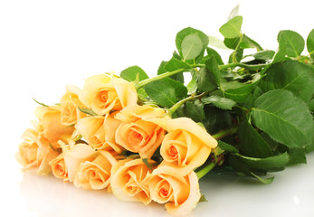 beautiful bouquet of roses isolated on white