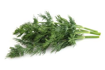 Fresh dill in closeup