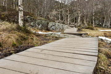 wooden foot path in rural landscape