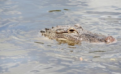 danger dans l eau