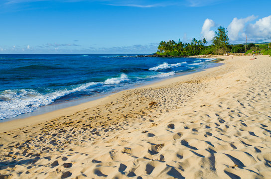 Oahu East Shore