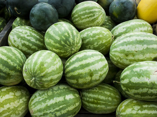 Watermelon