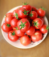 Close-up a bunch of  fresh tomatoes on a plate with drops of dew