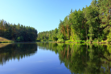 Fototapeta na wymiar Spokojny krajobraz z jeziora i las sosnowy
