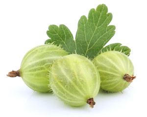 Green gooseberry fruit with leaf on white - obrazy, fototapety, plakaty