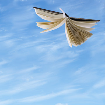 Flying book