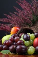 Fruit cornucopia