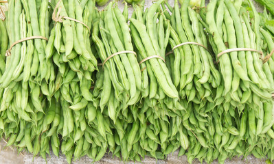 Bunch of raw bush beans