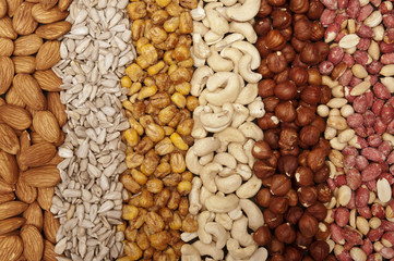 Mixture of almonds, sunflower seeds, corn, cashews, hazelnuts, p