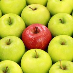 Einsamer roter Apfel