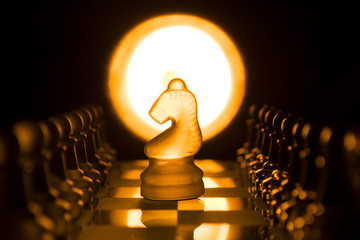 Chess knight © cliffy73
