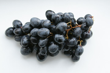 Deep blue grapes on white background