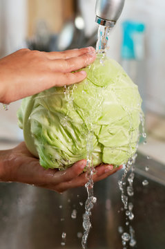 The cabbage is being washed in the water