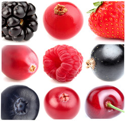 Collage from fresh berry