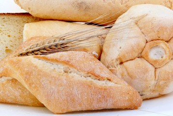 vari tipi di pane