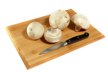 white mushroom