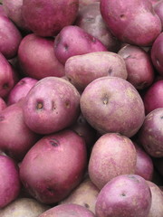 Red organic potatoes piled at farm stand