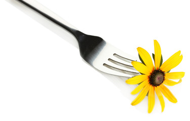 fork and flower, isolated on white