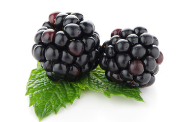 Ripe fresh blackberry