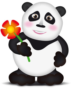Kleiner Panda mit Blume