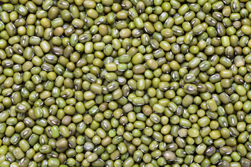 Mung beans