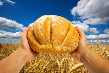 Hands with bread
