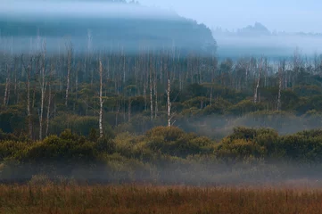  Misty Dawn in het Mazury Swamp © Wojciech Lisiński