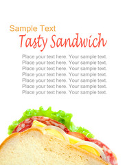 tasty juicy sandwich