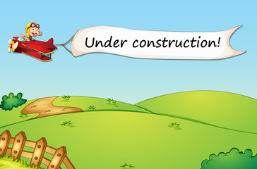 monkey flying in air plane