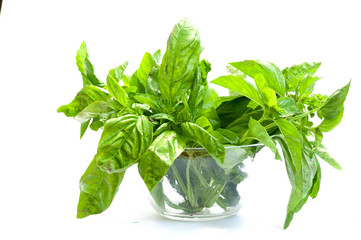 Green bazil  in bowl