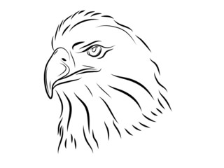 The stylized head of an eagle in black-and-white color