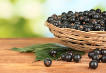 Fresh black currant in wicker basket