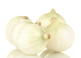 Obraz premium white onion isolated on white background