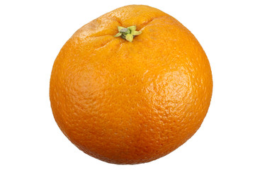 Orange fruit