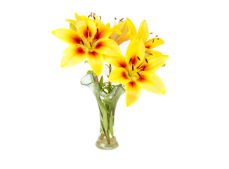 yellow lily in a vase