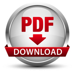 PDF Download Button Silber Metallic