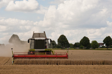 Ein Mähdrescher bei der Ernte