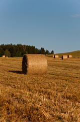 Hay bundles