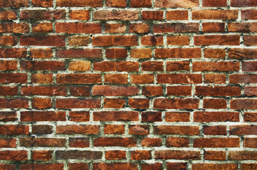 Fototapeta premium Brick wall