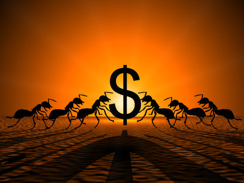 Ants holding Dollar against the sun,